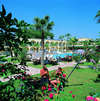 Golden Sun Hotel 